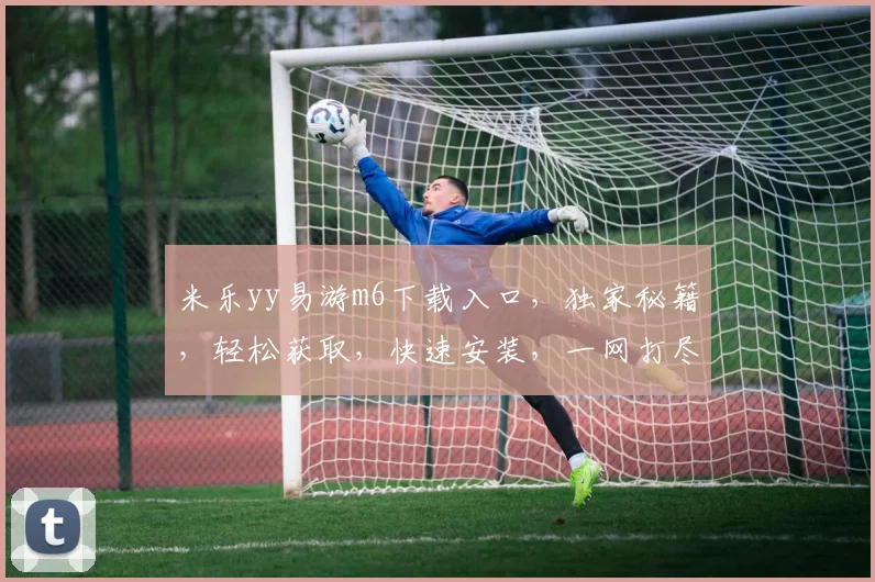 米乐yy易游m6下载入口，独家秘籍，轻松获取，快速安装，一网打尽