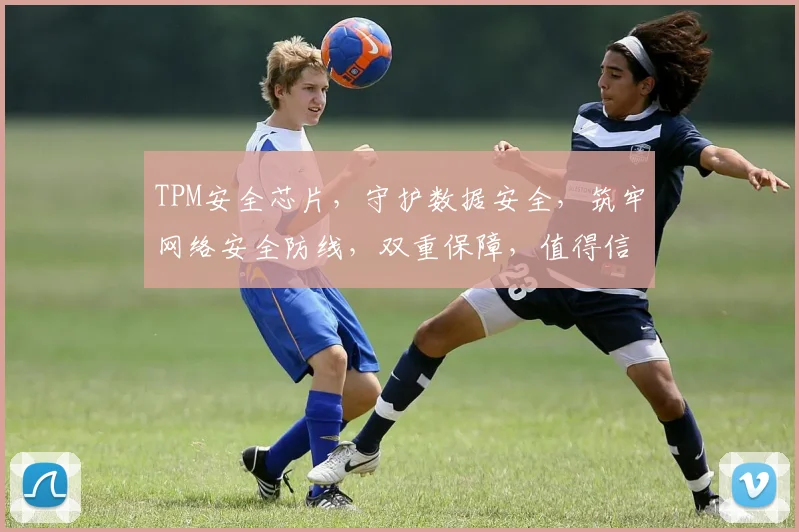 TPM安全芯片，守护数据安全，筑牢网络安全防线，双重保障，值得信赖。