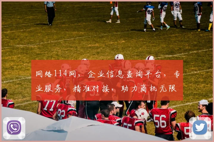 网络114网，企业信息查询平台，专业服务，精准对接，助力商机无限，值得信赖