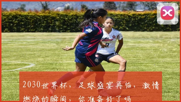 2030世界杯，足球盛宴再临，激情燃烧的瞬间，你准备好了吗