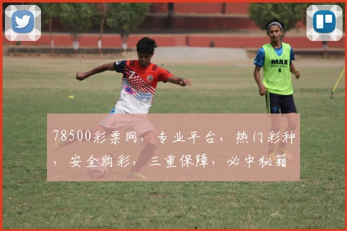 78500彩票网，专业平台，热门彩种，安全购彩，三重保障，必中秘籍，轻松赚钱