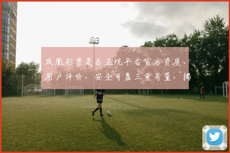 凤凰彩票是否正规平台官方资质、用户评价、安全可靠三重考量，揭秘真相